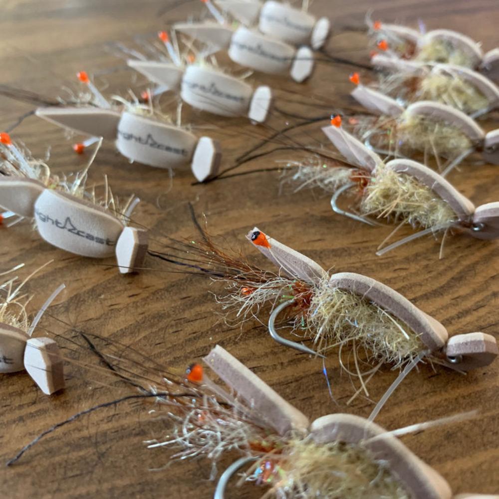 Popcorn Shrimp - Fish On! Custom Rods